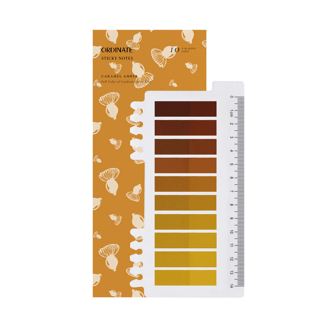 Caramel Amber | Haftnotizen Transparent | Book Tab |