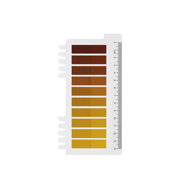 Caramel Amber | Haftnotizen Transparent | Book Tab |